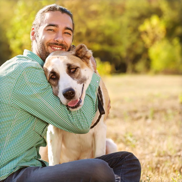 Hoe werkt het herplaatsen van honden? Dierenartsen en klinieken